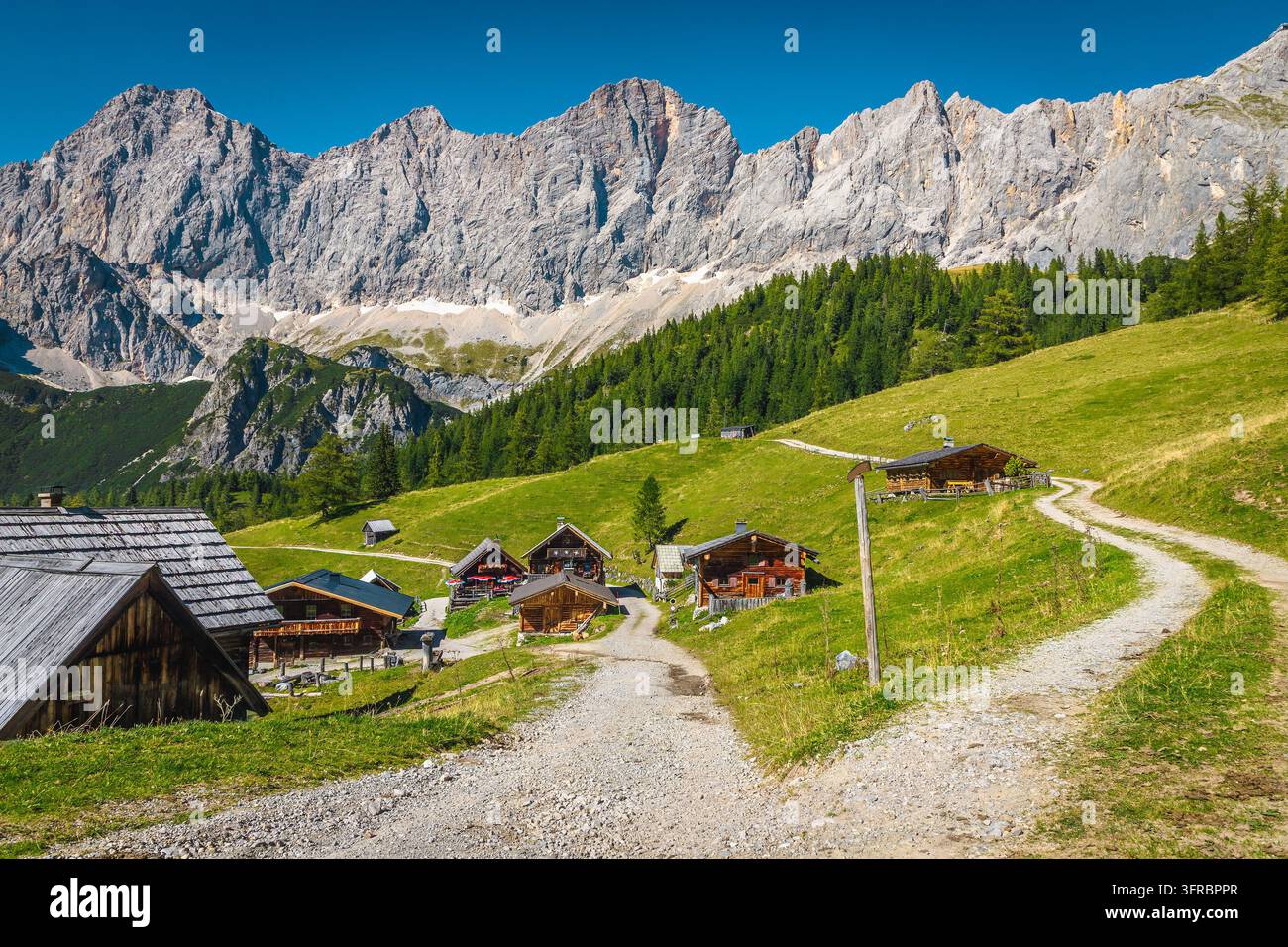 Graziose capanne di legno sul prato alpino e pareti calcaree delle facce sud del massiccio del Dachstein sullo sfondo, Stiria, Austria Foto Stock