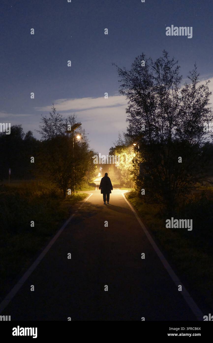 Un pedone che si allontana verso i lampioni su un sentiero nella campagna olandese al crepuscolo. Proietta ombre e crea una silhouette meravigliosamente nitida. Foto Stock
