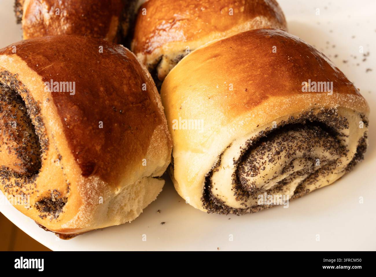 Prima vista di rotoli di semi di papavero dorati con ripieno a spirale scuro e crosta lucida su un piatto bianco. Pasticceria dolce tradizionale, dessert e prodotto da forno Foto Stock