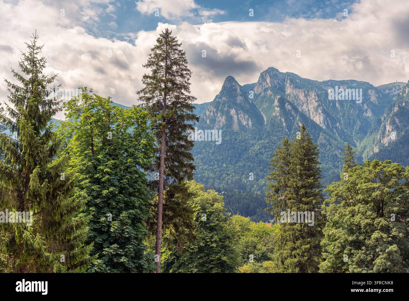 Foresta e picchi rocciosi delle montagne Bucegi sotto un cielo nuvoloso nella valle del Prahova in Romania Foto Stock
