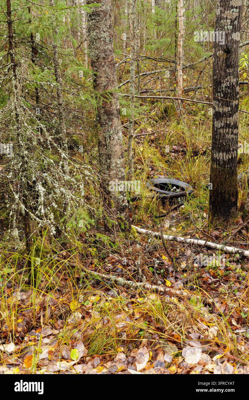 Smaltimento illegale di rifiuti di pneumatici per veicoli lasciati nel fossato di una strada di campagna scandinava tra i boschi autunnali. Foto Stock