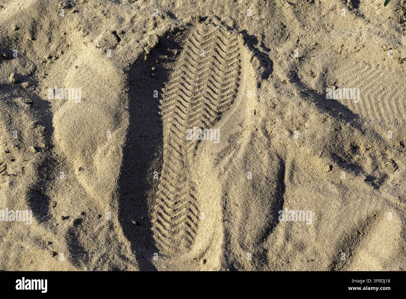Impronta della pianta del piede sulla sabbia. Il concetto di viaggio Foto Stock
