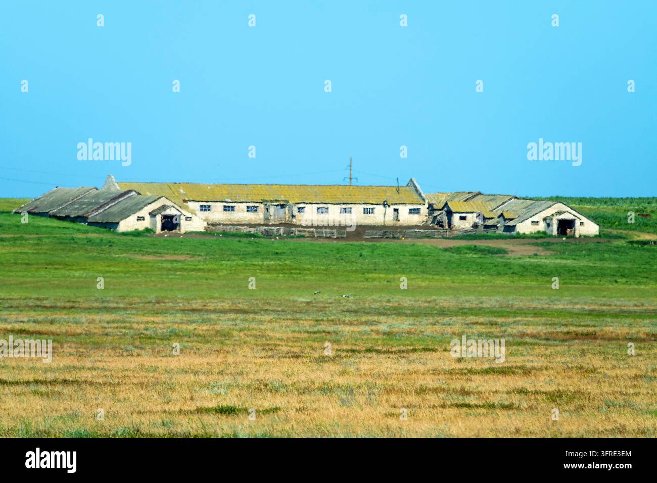Un vecchio capannone di pecore abbandonato con tovaglie (allevamento di pecore) nella steppa. Industria ovina dell'Unione Sovietica (ovini-allevamento sovkhoz - economia collettiva). Foto Stock