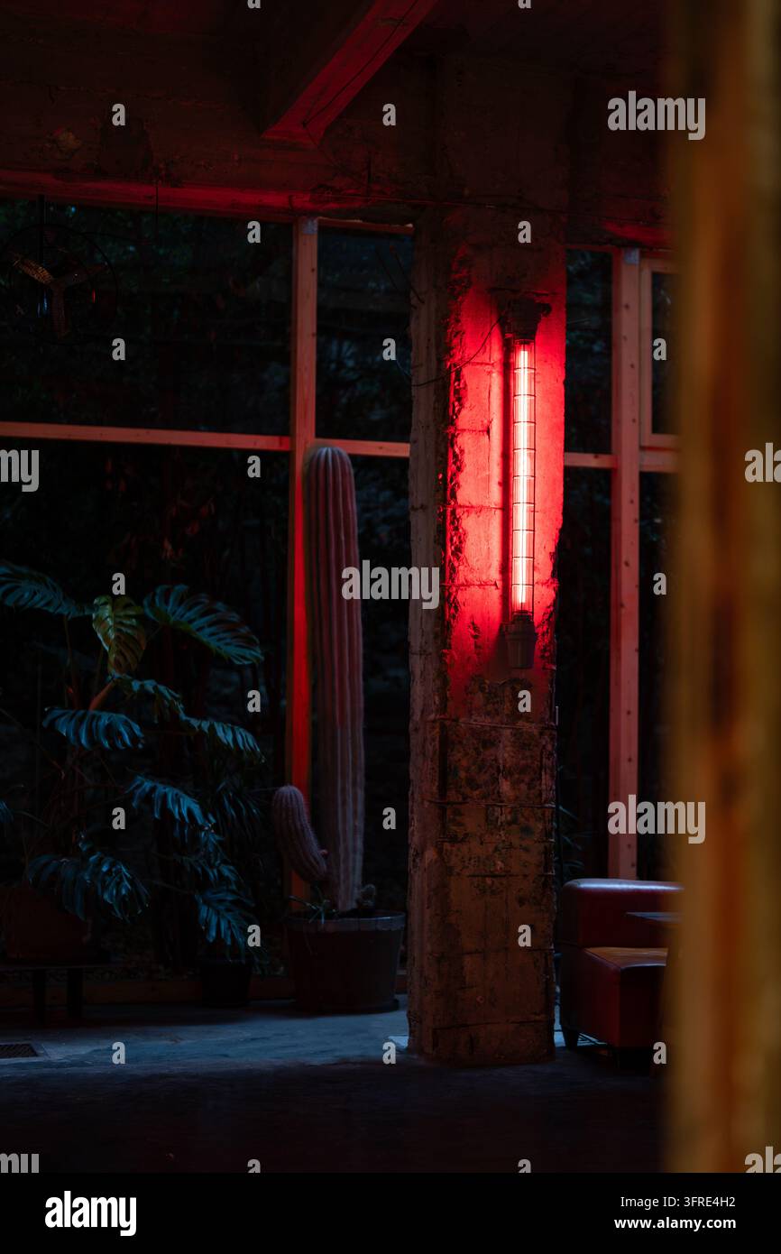 Interno di un accogliente caffè a Tbilisi con luce al neon rossa montata sul muro e monstera e cactus in vaso. Foto Stock