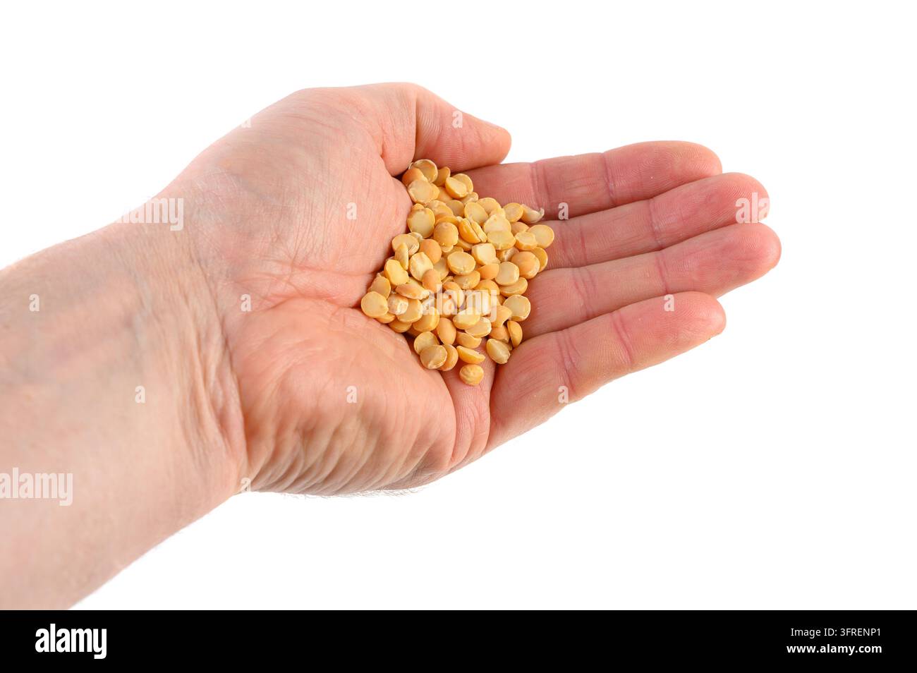 Mano che tiene una porzione di piselli gialli secchi e spezzati su una superficie bianca. Foto Stock