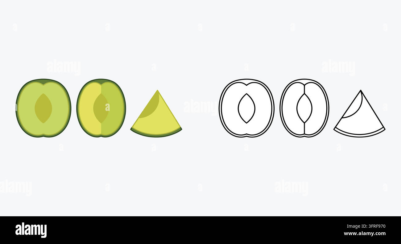 Fette di frutta al lime affettate con variazioni colorate e disegni a contorno Illustrazione Vettoriale
