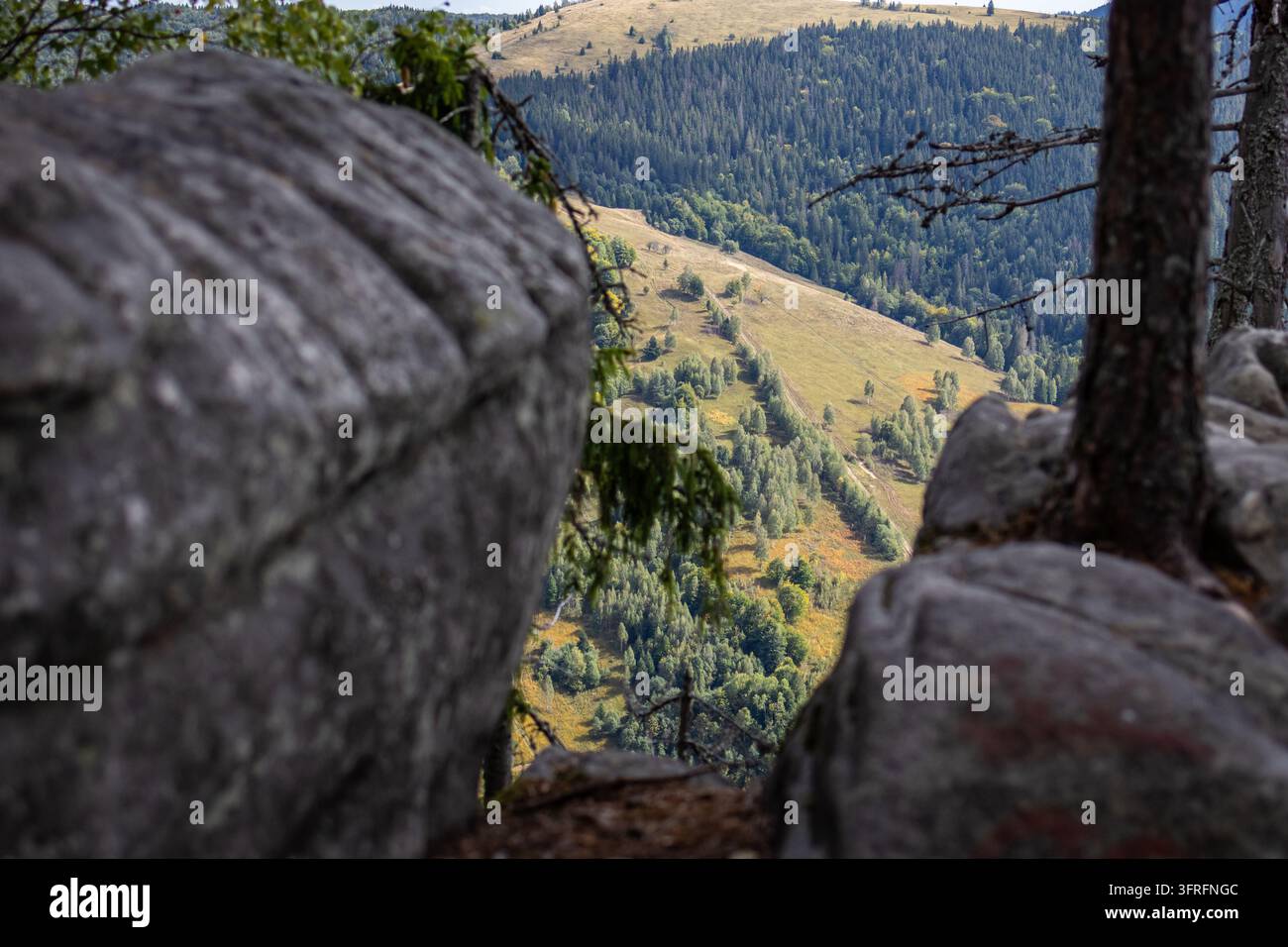 Massicci massi e un albero solitario incorniciano un pendio lontano illuminato dal sole attraverso una valle profonda, le texture e la profondità guidano lo sguardo verso una natura incontaminata che invita all'esplorazione Foto Stock
