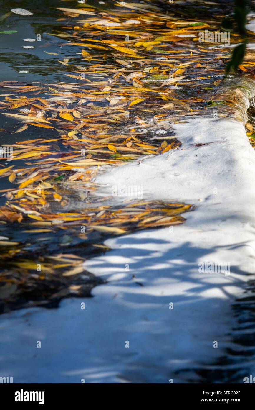 Schiuma vorticosa e foglie gialle galleggianti formano un astratto luminoso sulla superficie del fiume. Increspature illuminate dal sole e toni blu freschi creano una stagionalità rilassante Foto Stock