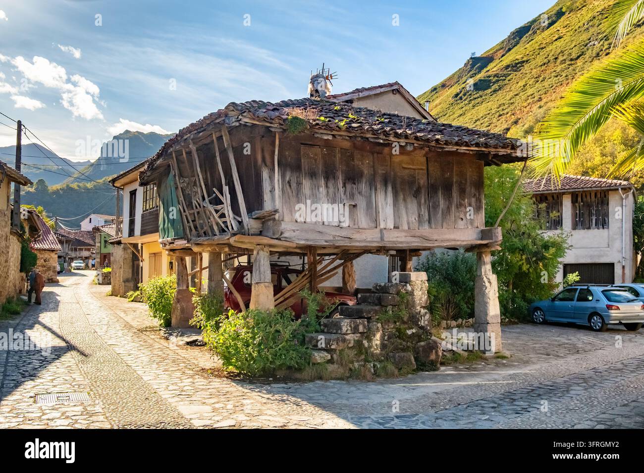 Granaio tradizionale in legno (horreo) nel villaggio di montagna delle Asturie, Spagna Foto Stock
