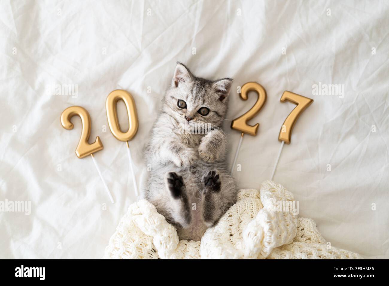 Gattino carino con numeri dorati 2027 su una coperta accogliente Foto Stock