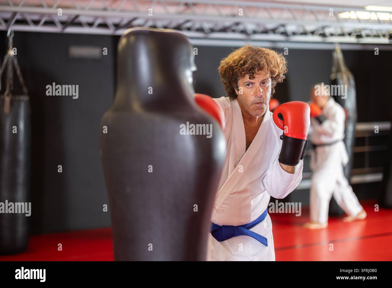 In dojo di allenamento con tatami rosso, karateka di mezza età con cintura blu in gi bianco e guantoni da boxe rossi che pratica pugni in stile knockout su base a molla Foto Stock