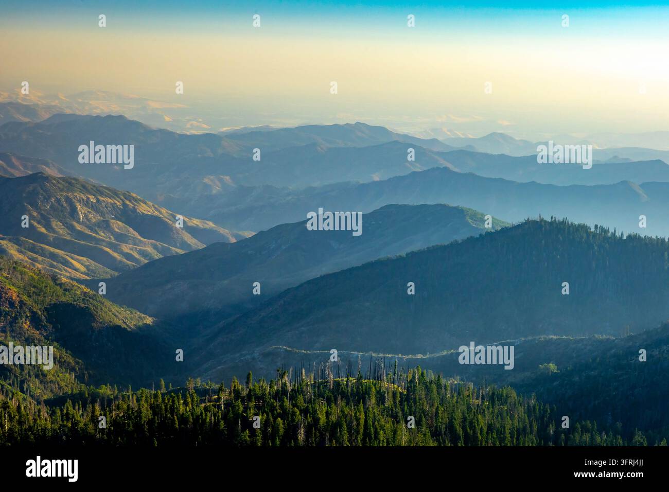 Creste montuose stratificate e foschia blu sulle colline della Sierra Nevada nel Parco Nazionale di Sequoia in California Foto Stock