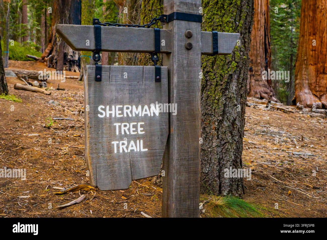 Il cartello dell'ingresso del sentiero Sherman Tree segna l'ingresso al sentiero iconico del Sequoia National Park Foto Stock