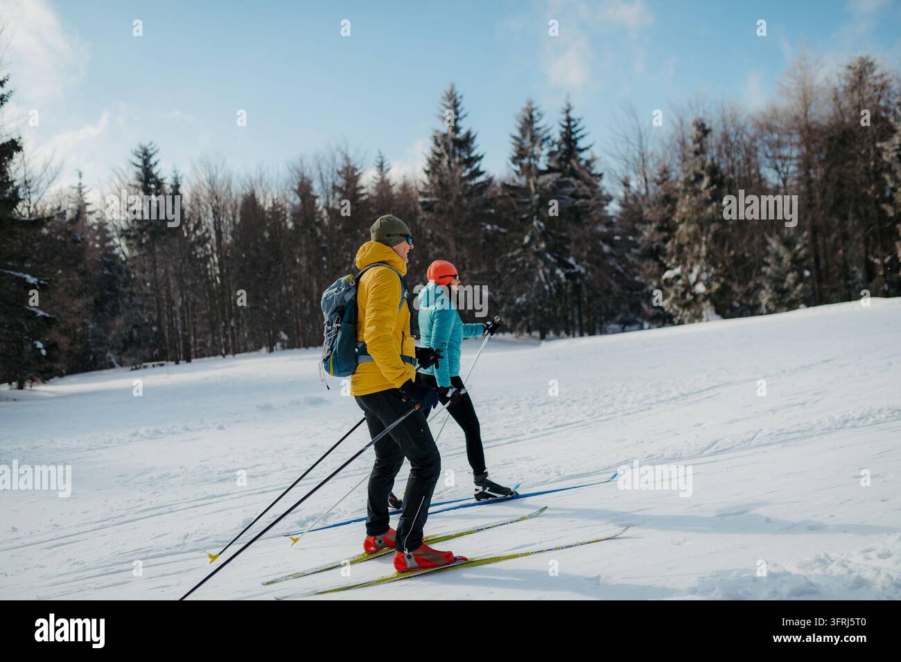 Coppia attiva che fa sci di fondo attraverso la campagna innevata durante le vacanze invernali. Foto Stock