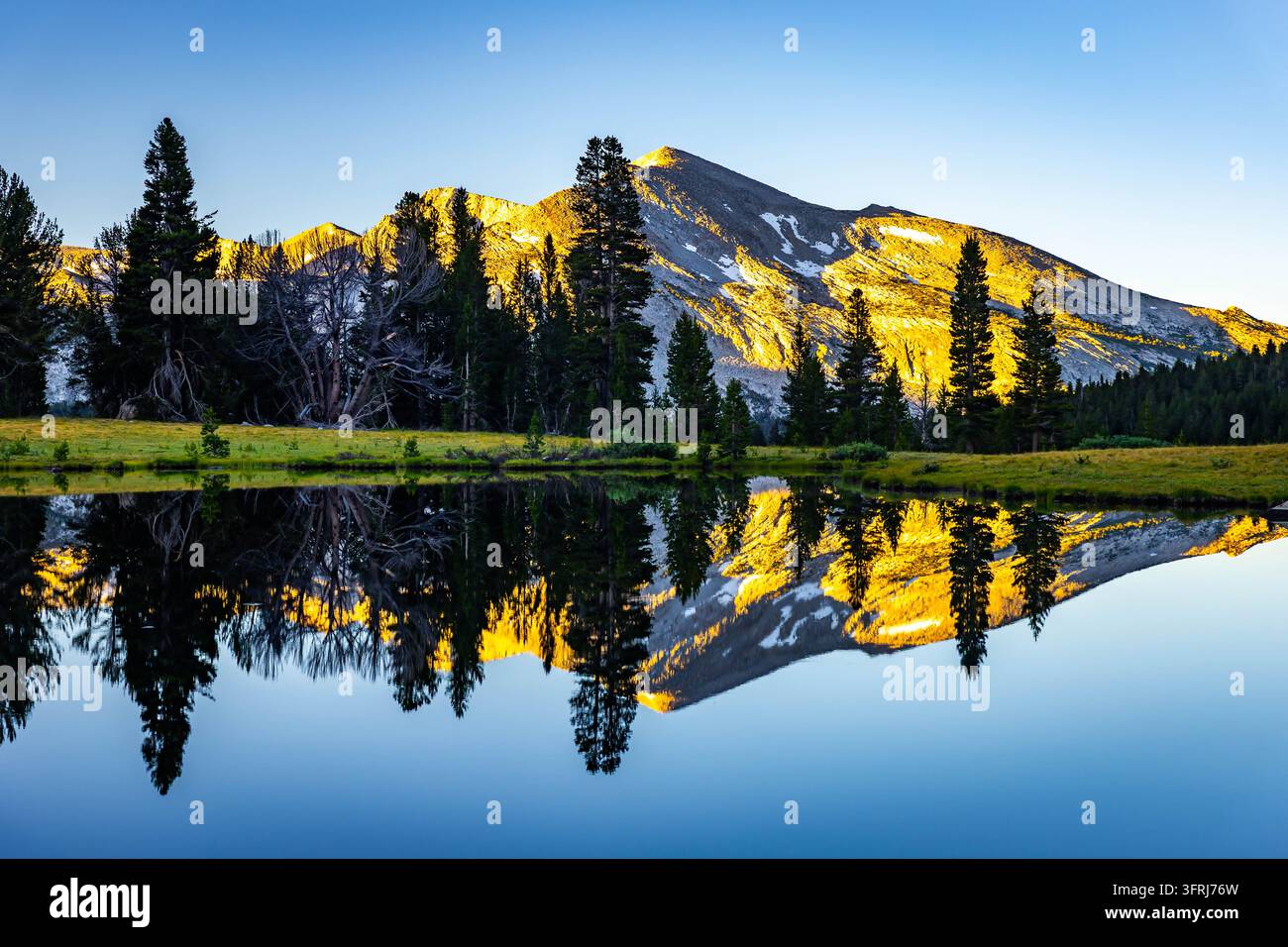La luce dorata risplende mentre le montagne si riflettono nelle acque tranquille di un lago boschivo nello Yosemite National Park Foto Stock