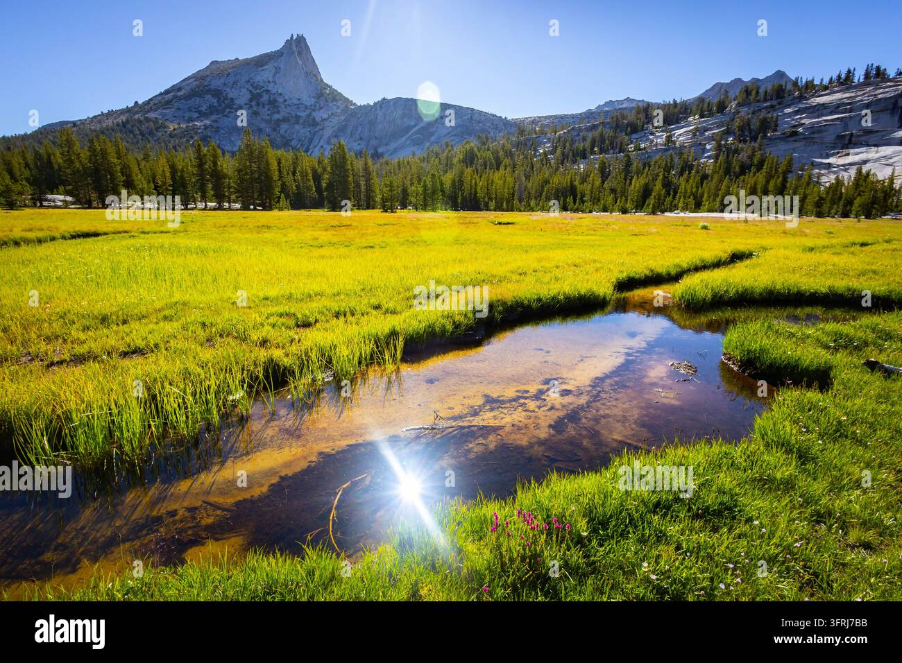 Il picco Cathedral si erge sopra un ruscello dorato nel parco nazionale di Yosemite Foto Stock