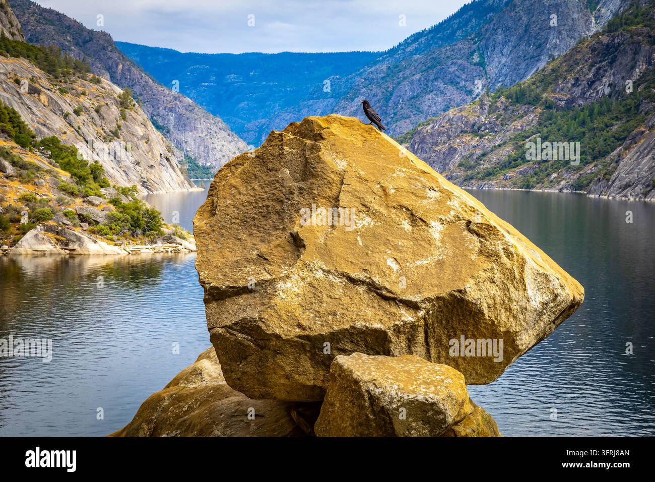 Un corvo si appollaia sulla cima di un masso dorato che si affaccia sulle acque calme del bacino di Hetch Hetchy Foto Stock