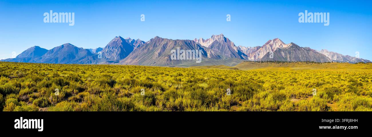 Vista panoramica della catena montuosa della Sierra Nevada orientale e del campo di salvia desertica ad alta quota in California Foto Stock