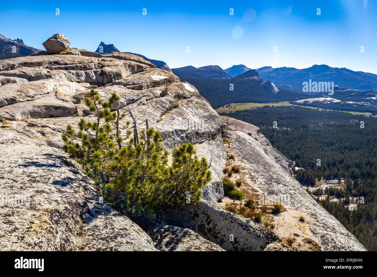 Il Lembert Dome si erge scenicamente contro un cielo azzurro limpido nel Parco Nazionale di Yosemite Foto Stock