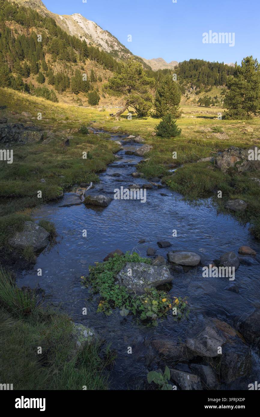 Acque gentili scorrono tra pietre lisce nella pacifica valle di Benasque, circondata da una vegetazione vibrante e da montagne maestose, Pirenei spagnoli Foto Stock