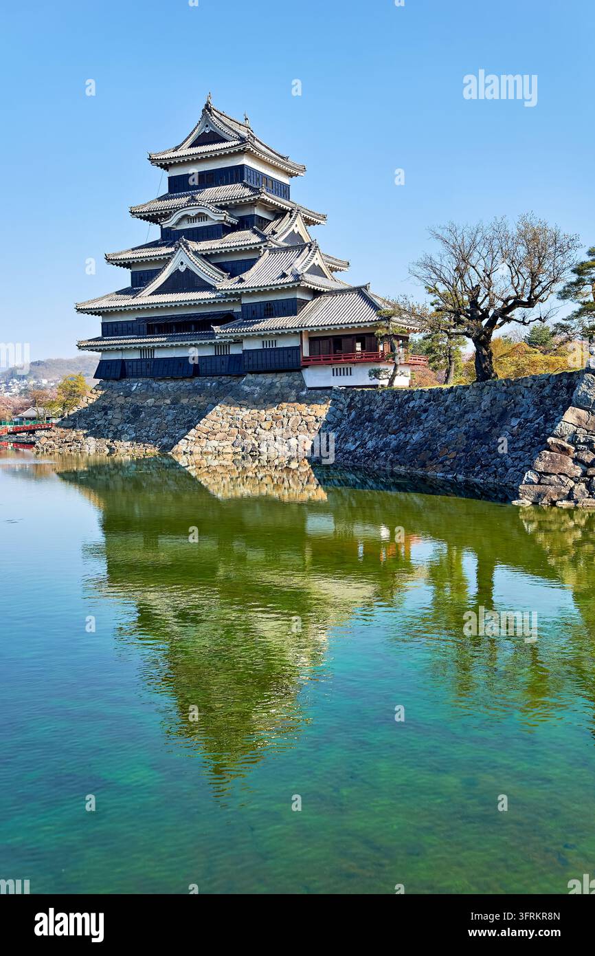 Donjon nero e torre rossa per l'osservazione della luna di Matsumoto-jo, un tesoro nazionale giapponese, che si erge dalle mura di pietra in una limpida mattina di primavera Foto Stock