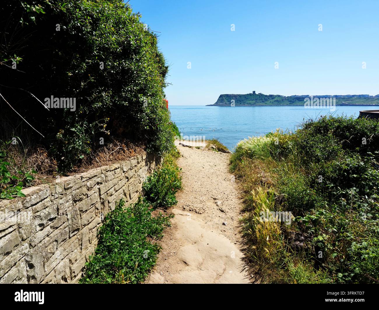 Vista su North Bay verso Scarborough Castle da Scalby Ness Scarborough North Yorkshire Inghilterra Foto Stock