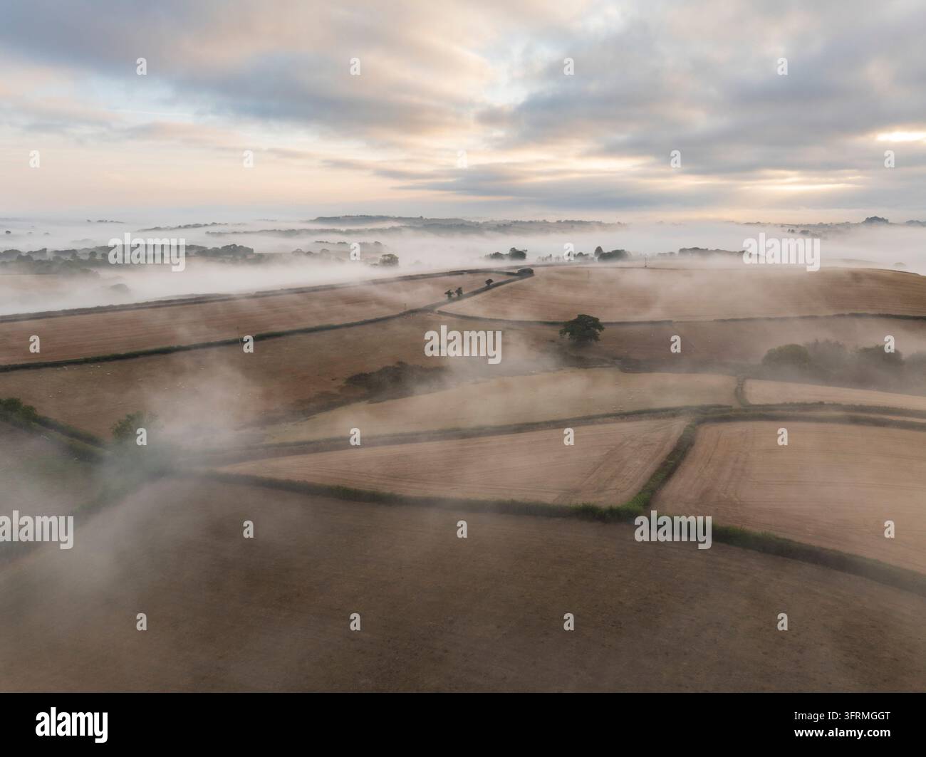Campagna rurale arida dopo la siccità estiva del 2026, Parco nazionale di Dartmoor, Devon, Inghilterra. Estate (agosto) 2026. Foto Stock