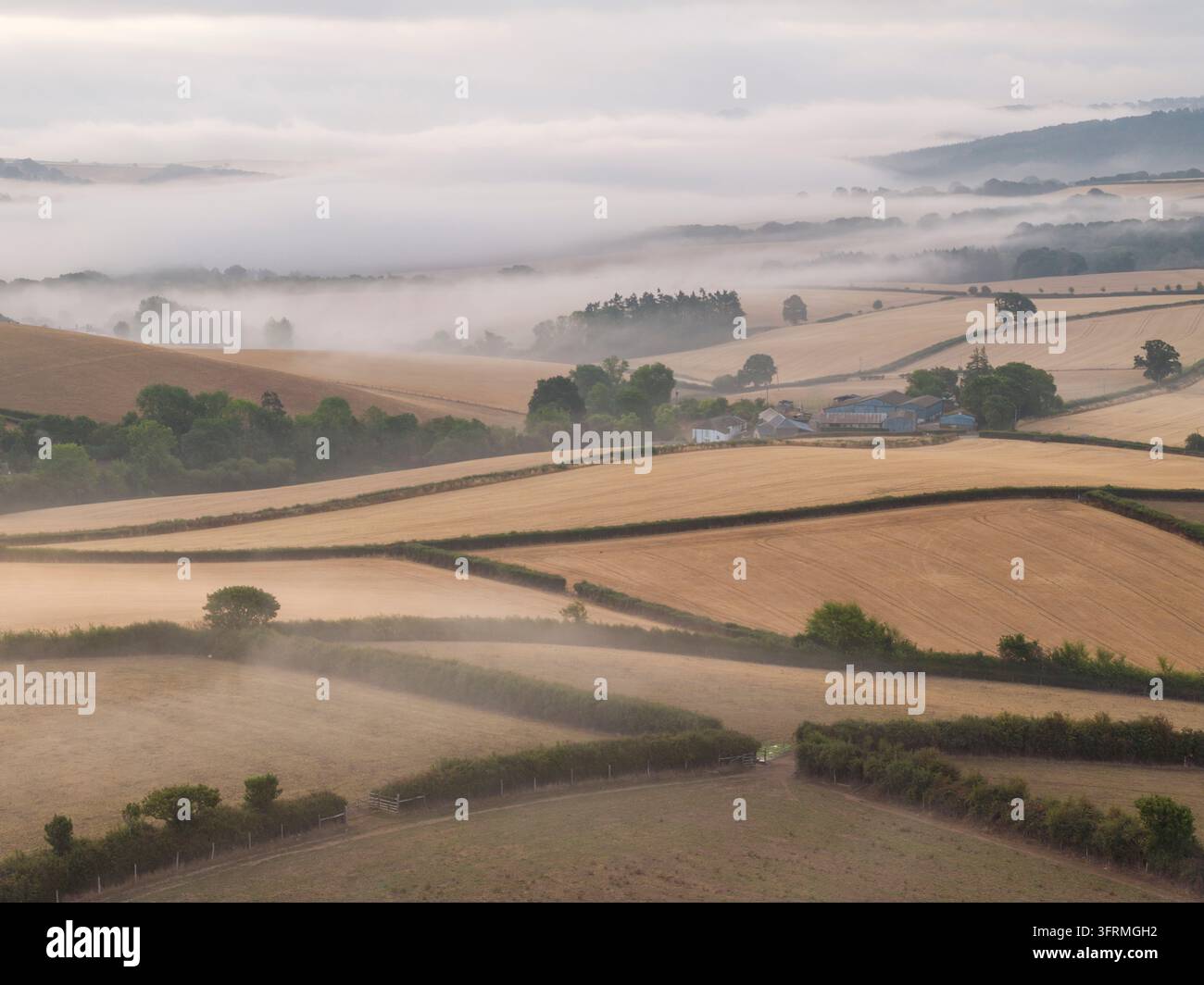 Campagna rurale arida dopo la siccità estiva del 2026, Parco nazionale di Dartmoor, Devon, Inghilterra. Estate (agosto) 2026. Foto Stock