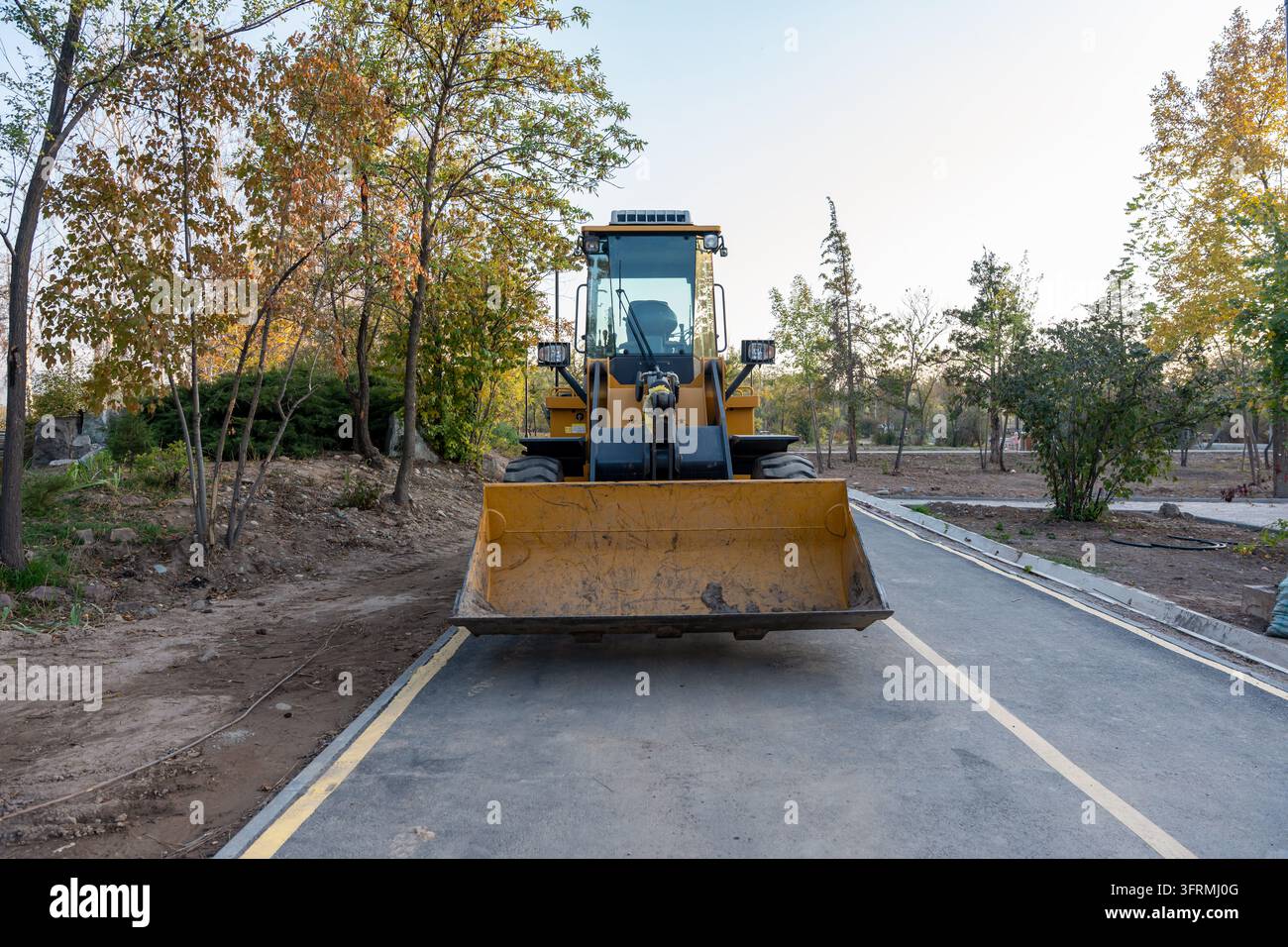 Vista frontale di un caricatore compatto giallo parcheggiato su un percorso asfaltato in un impianto di parco. Foto Stock