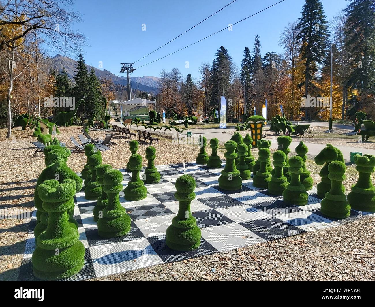 Una scacchiera fatta di piante e alberi. La scacchiera è nera e bianca. Ci sono due pedine sulla scacchiera Foto Stock