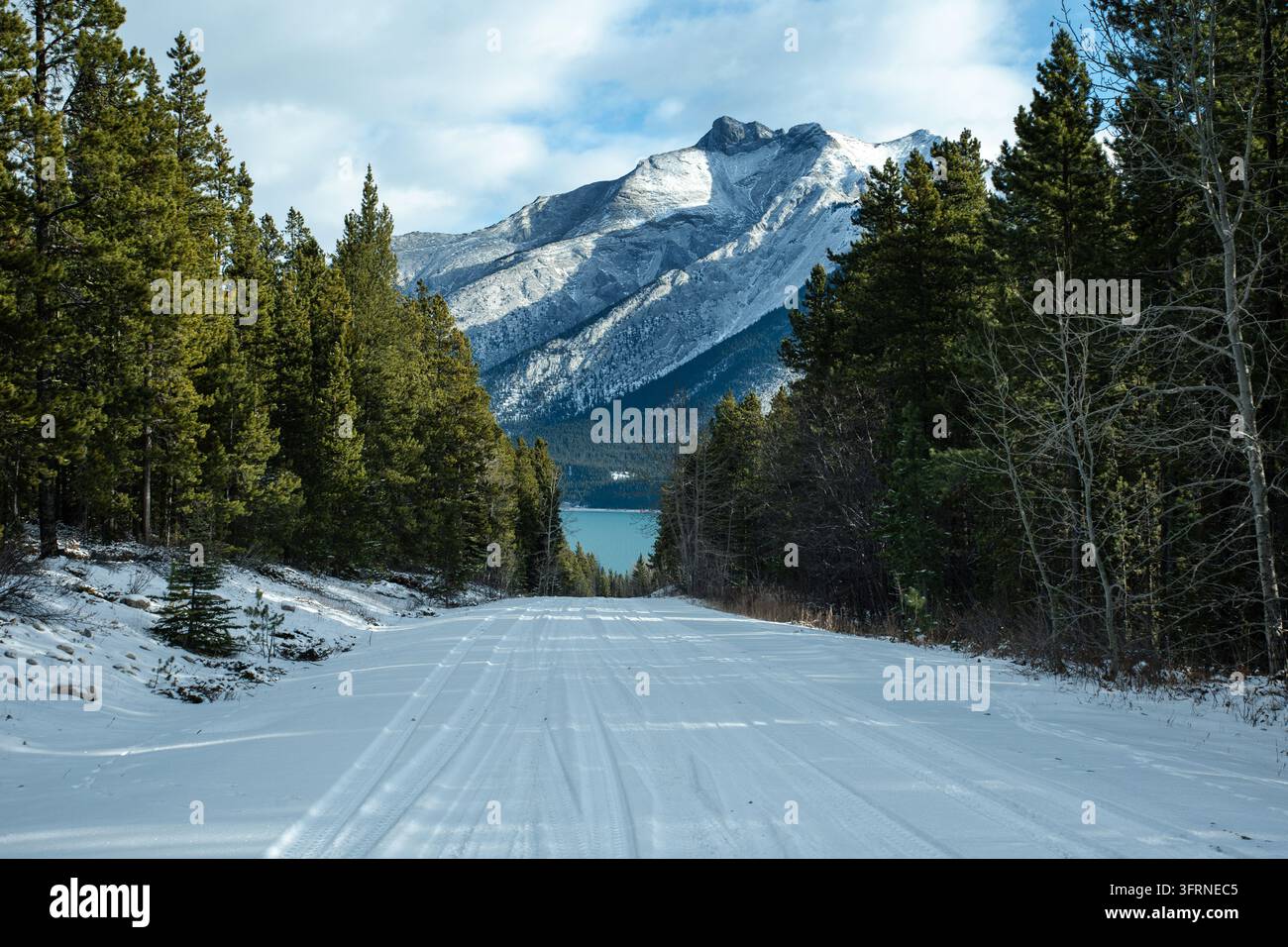 Vista all'altezza degli occhi di una strada coperta di neve con tracce di pneumatici attraverso una foresta sempreverde, che conduce al lago turchese Abraham sotto l'Alb rugoso e innevato Foto Stock