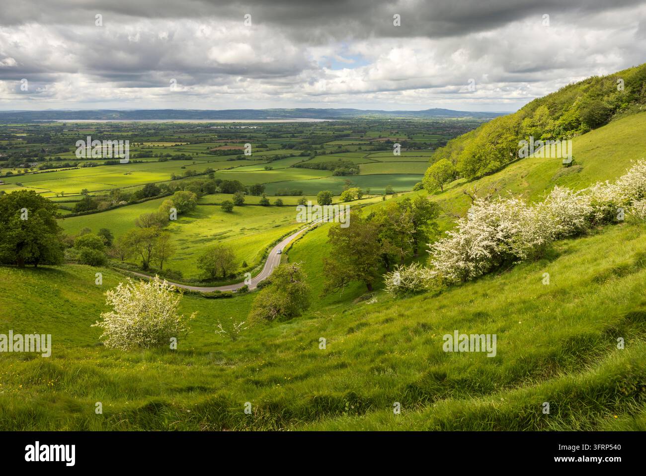 Viste scorrevoli dei Cotswolds dal Coaley Peak, Gloucestershire, Inghilterra. Primavera (maggio) 2026. Foto Stock