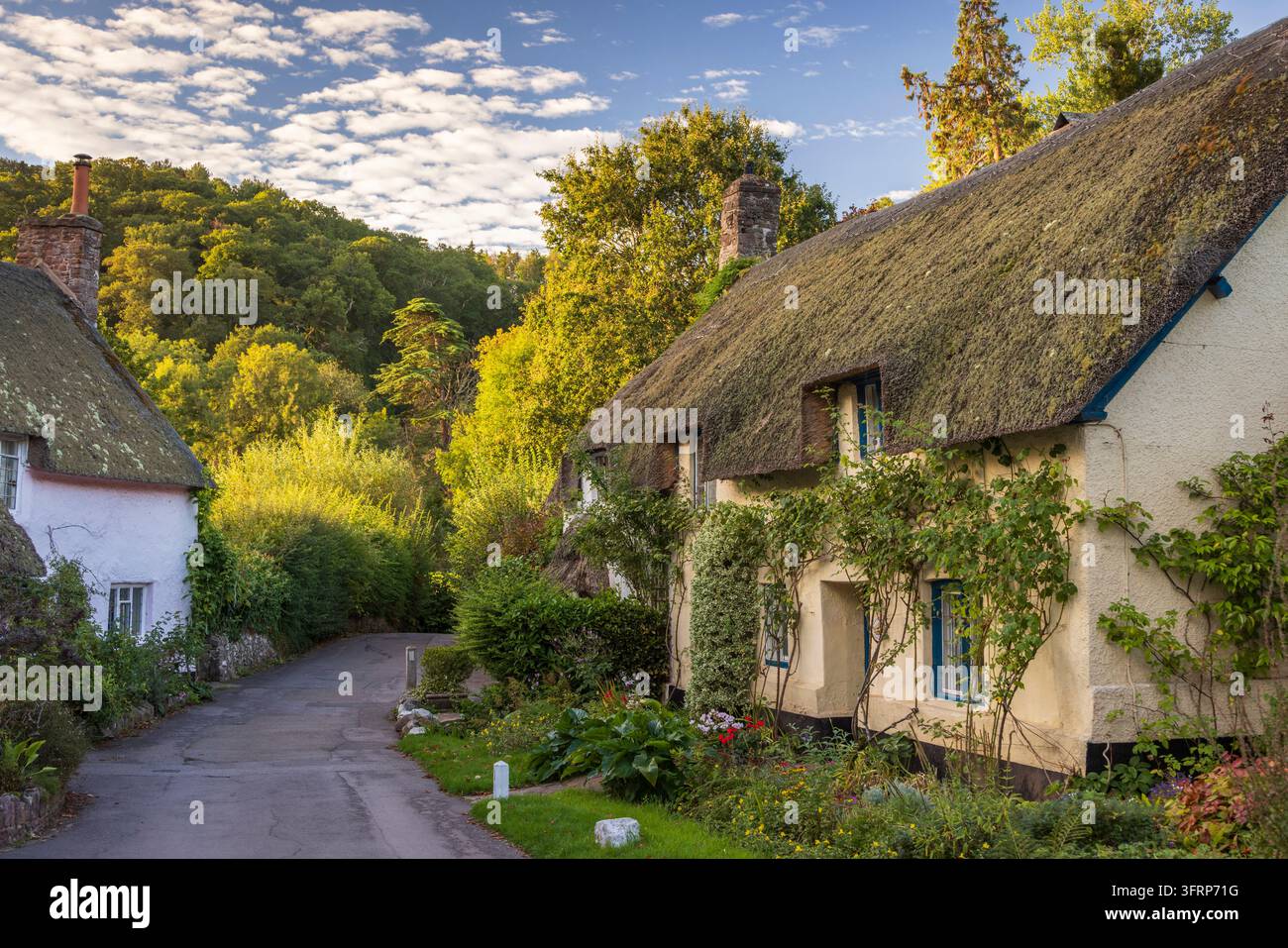 Graziosi cottage in paglia nel villaggio di Exmoor di Dunster, Somerset, Inghilterra. Autunno (settembre) 2026. Foto Stock