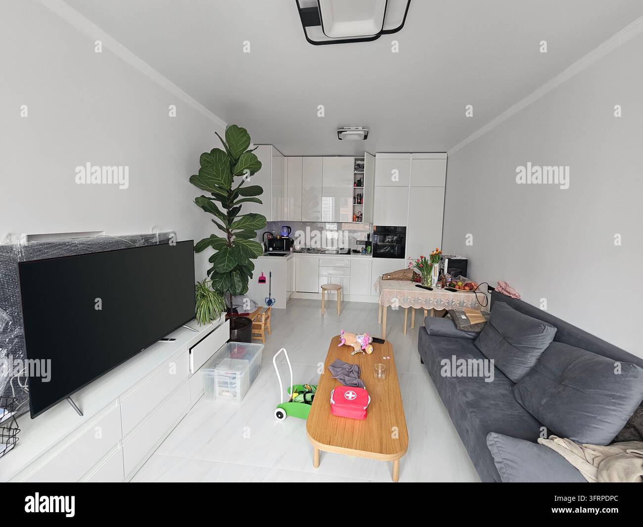 Soggiorno con TV a schermo piatto, una pianta in vaso, un divano, un tavolino e un interno da tavolo da pranzo (PR) Foto Stock