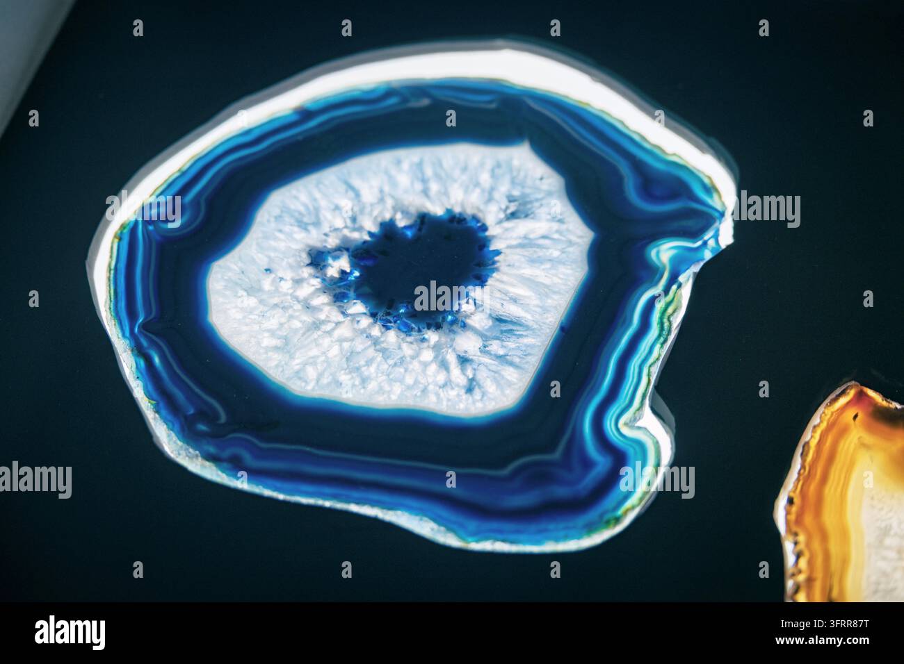 Fetta di agata blu retroilluminata con bande concentriche e centro di cristallo di quarzo, scatto in macro in studio. Concetto di geologia e gemma. Foto Stock