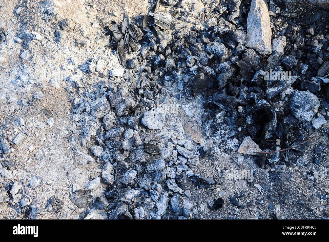 La superficie del legno bruciato e del carbone come resti di un falò Foto Stock
