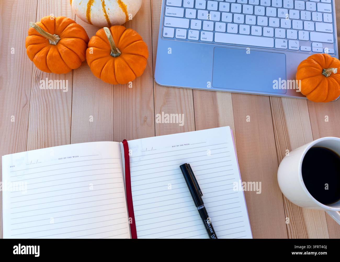 Spazio di lavoro accogliente per l'autunno con un quaderno aperto e vuoto, una penna, una tazza di caffè, un laptop e zucche decorative su un tavolo di legno. Pianificazione della stagione autunnale Foto Stock