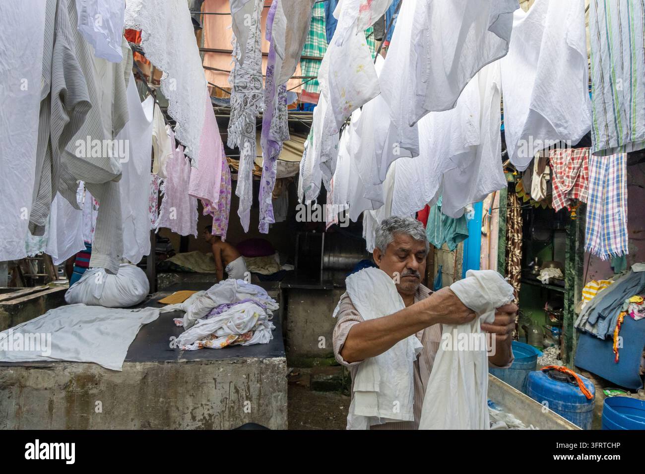 Uomo anziano con capelli grigi che piega un lenzuolo bianco sotto file di biancheria bianca appesa ad asciugare a Dhobi Ghat, Maharashtra, Mumbai, India Foto Stock