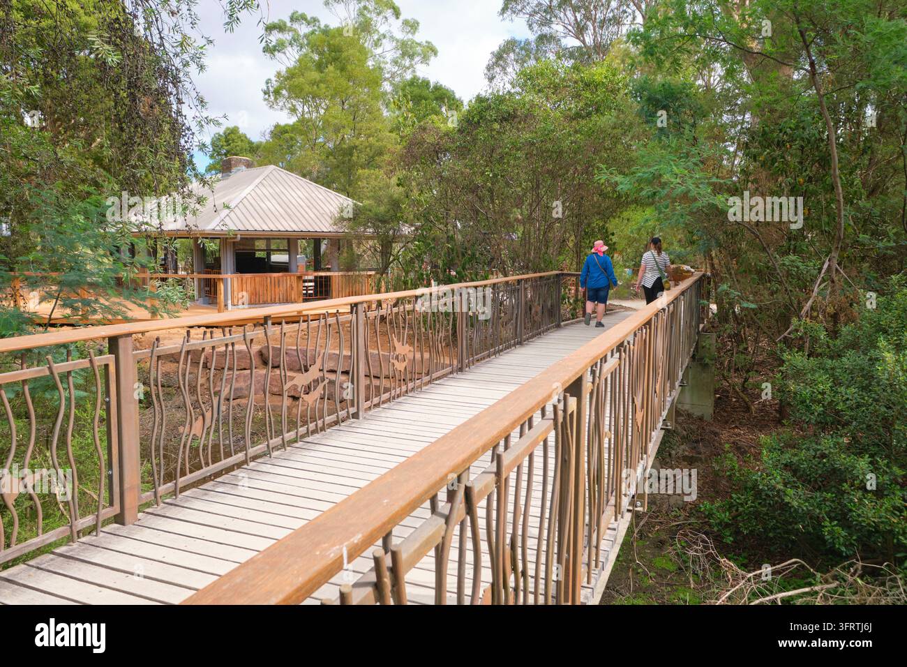 Persone che attraversano un ponte pedonale in legno. All'Healesville Sanctuary, un parco naturale e zoo nel Victoria, Australia. Foto Stock