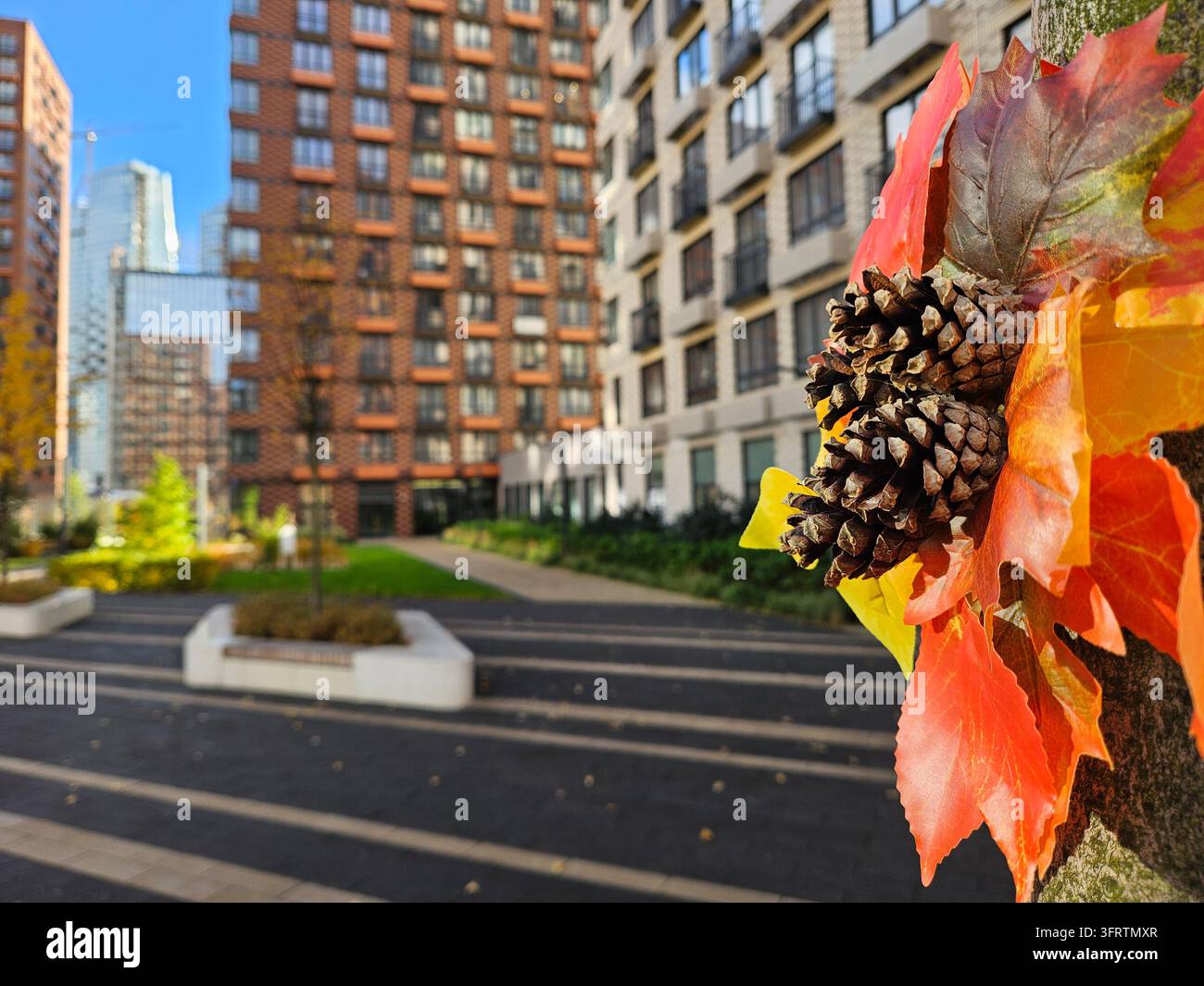 Foglie autunnali e pigne incorniciano una strada urbana moderna. Edifici alti si ergono dietro passeggiate lastricate. I colori vivaci dell'autunno contrastano con l'architettura pulita della città Foto Stock
