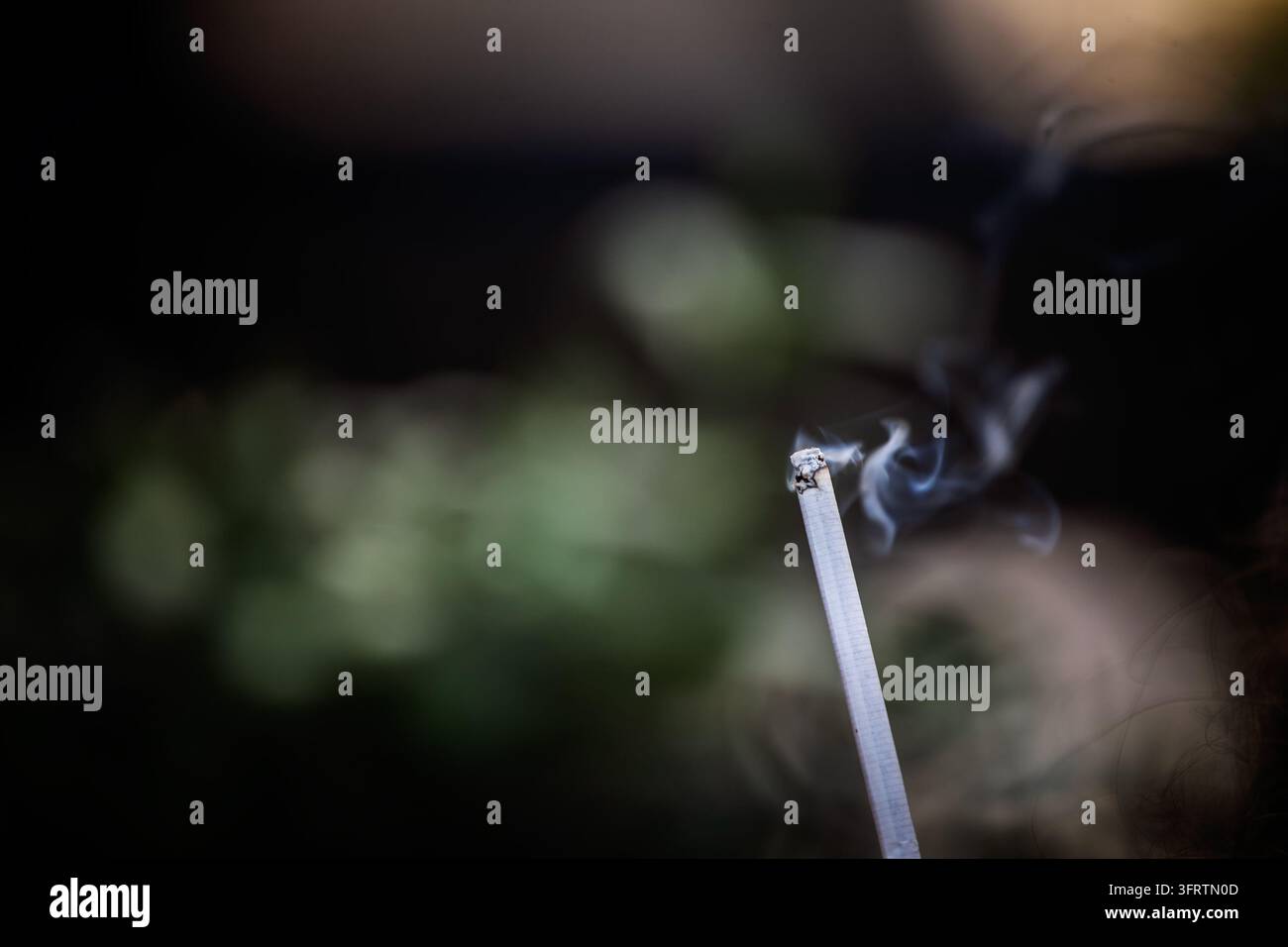 Una sigaretta accesa rilascia fumo arricciato su uno sfondo sfocato. La messa a fuoco selettiva evidenzia la sua punta cenere, illustrando l'uso del tabacco, la dipendenza da nicotina Foto Stock