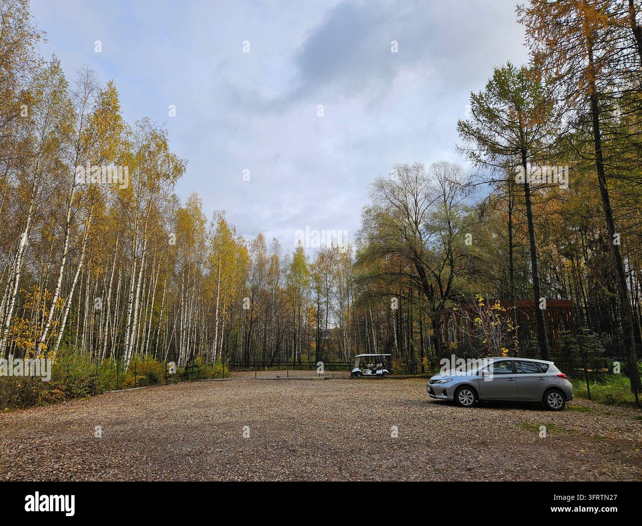 Foresta autunnale con betulle e foglie sparse. Auto argentata parcheggiata su un sentiero sterrato. Cielo blu con soffici nuvole sopra. Gli alberi mostrano fogliame giallo e marrone. Ambientazione boschiva naturale e tranquilla Foto Stock