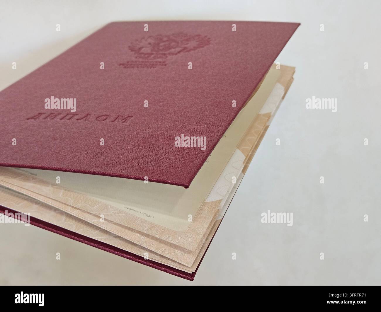 Diploma in libro con copertina marrone con logo e testo in rilievo. La copertina morbida mostra lievi segni di usura e invecchiamento. Le pagine rivelano fogli interni sottili e avorio. Rilegatura robusta con dorso marrone corrispondente Foto Stock