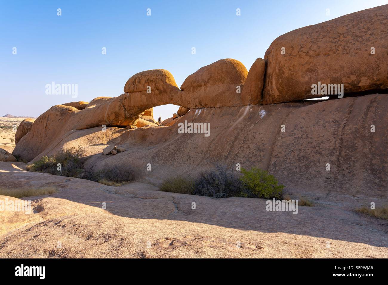 Rocce di granito spoglie e inselberg formano un paesaggio aspro a Spitzkoppe nel deserto del Namib in Namibia, tra Usakos e Swakopmund. Foto Stock