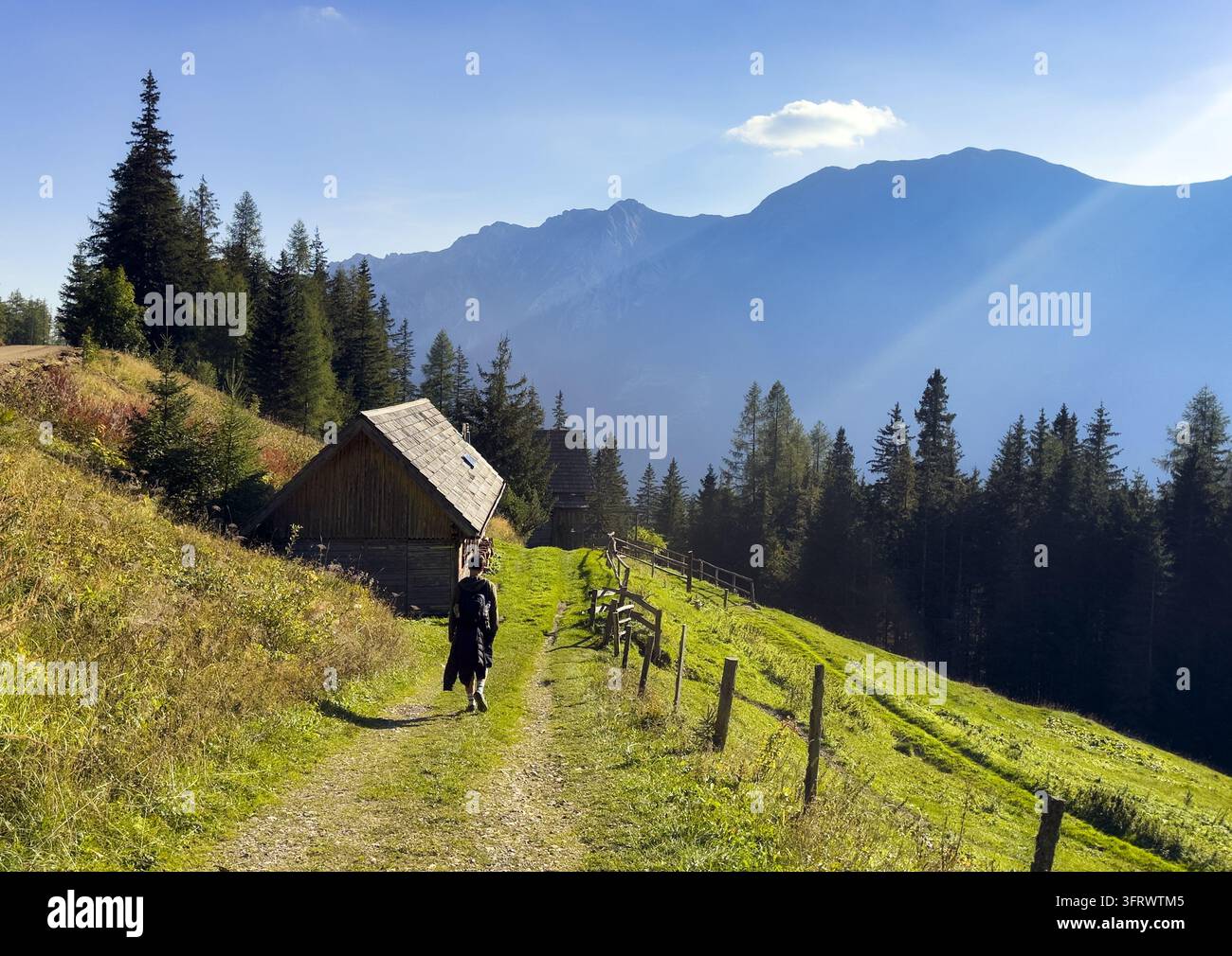 Monte delle Alpi austriache nel periodo autunnale nella catena delle Hochschwab. Alpi - Europa Foto Stock