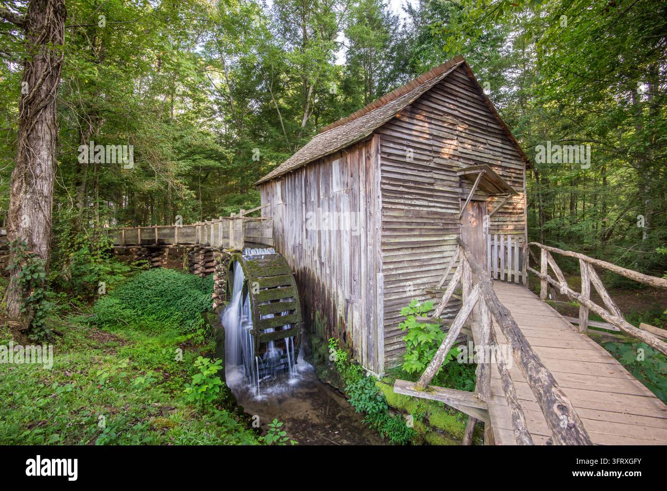 Cable Gristmill, Mill Creek, Cades Cove, Great Smoky Mountain National Park, Tennessee. Foto Stock
