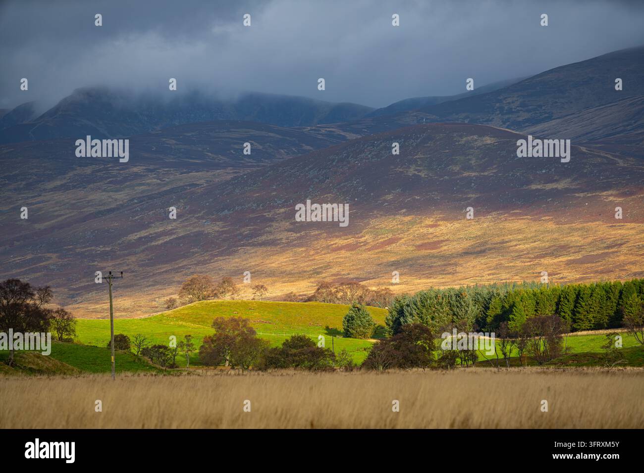 Raggi di sole su colline scure sopra alberi autunnali e campi verde brillante sotto un cielo tempestoso a Glen Clova, Angus, Scozia, Regno Unito Foto Stock