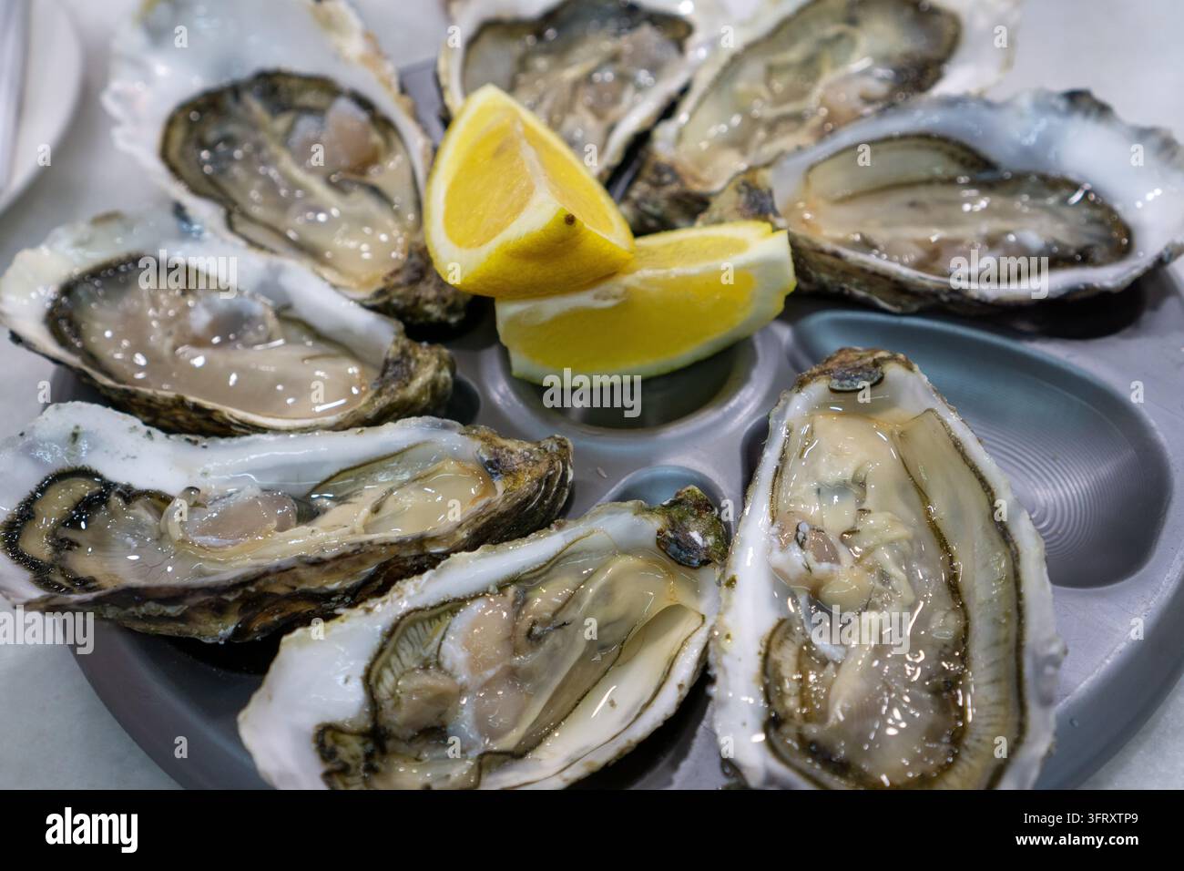 Ostriche servite con limone per il consumo Foto Stock