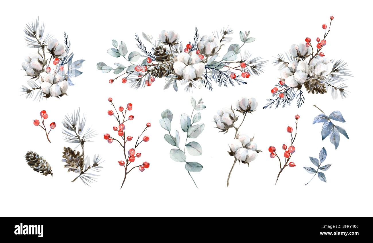 Un set di acquerelli floreali invernali. Illustrazioni disegnate a mano di cotone eucalipto, pino, ginepro Foto Stock
