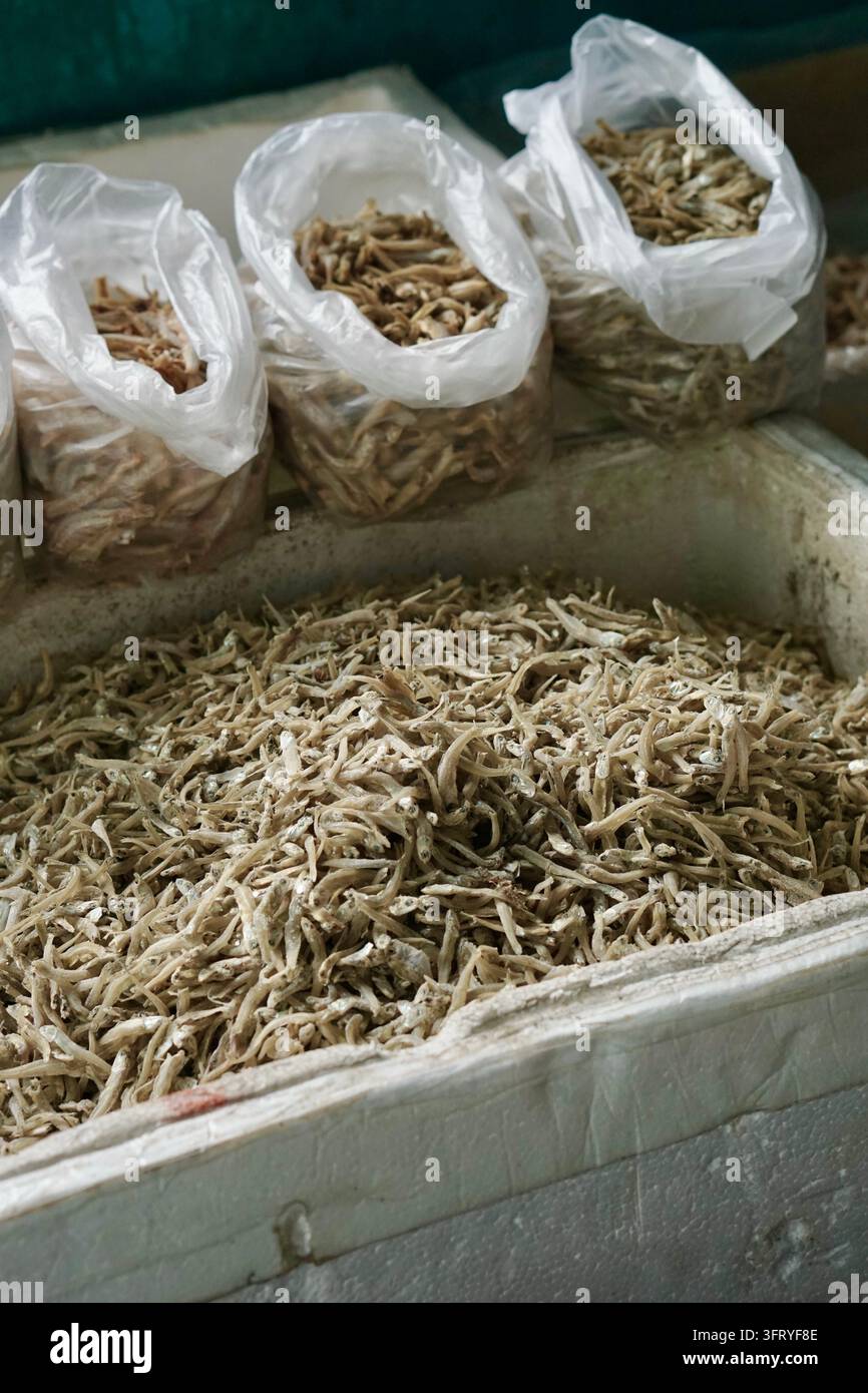 Acciughe essiccate esposte all'ingrosso e in sacchetti di plastica presso un asiatico locale in scatola di polistirolo e piccole bustine di plastica. Foto Stock